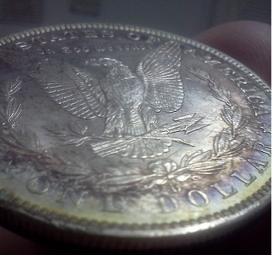 Please-Help-Grade-This-1883-O-Morgan...